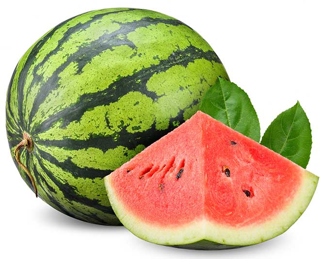 Watermelon Varieties 2024:तरबूज की उन्नत किस्मो से धन्ना सेट बना देंगी होंगी बंपर कमाई,