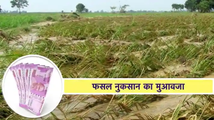 AGRICULTURE NEWS 2024 : सरकार द्वारा किसानों को दिया जा रहा फसल नुकसान का मुआवजा, जानें कितने किसान होंगे लाभान्वित !