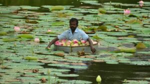 LOTUS FARMING 2024 : अगस्त माह में कमल की खेती से महकाएं अपने घर आँगन को, जाने महत्व !