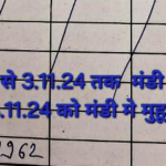 Betul Mandi Bhav: कुछ इस तरह रहा 29 अक्टूबर 2024 के बैतूल मंडी भाव