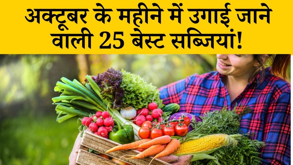 अक्टूबर में इन सब्जियों की ये किस्मे लगाएं