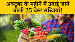 अक्टूबर में इन सब्जियों की ये किस्मे लगाएं